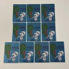 ONE PIECE ルフィ スイカ イラスト カード ナツコミ10枚セット 美品