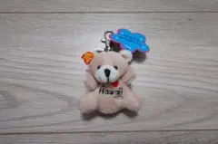 【ハワイ限定】トロピカル テディー