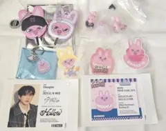 stray kids　チャンビン　SKZOO