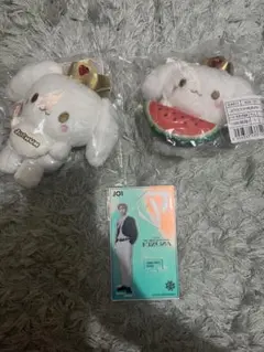 即購入❌　纏め売り専用