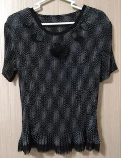 Item thumbnail for item 705e577f-20ec-4893-8cb5-90341c14da54