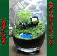 SAYAオーダー品　苔テラリウム　コケリウム　我が家の小さなオアシス 苔テラリウム コケリウム 和み 心癒す我が家のオアシス - メルカリ