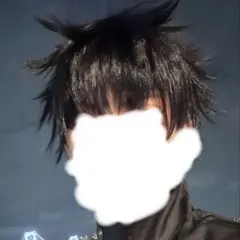 2026年最新】伏黒恵ウィッグの人気アイテム - メルカリ