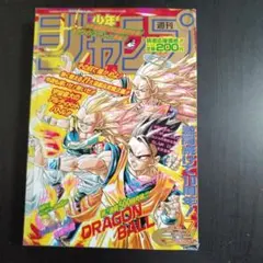 ファン必見、非売品、ドラゴンボールジャンプ 50周年記念号 特製ふろく