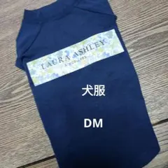 Item thumbnail for item 4a234485-fb5c-43e3-8556-9607bd8f8494