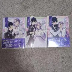 Item thumbnail for item 8781fce5-d3c5-47bb-828e-2d3d5f99ba25