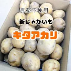 【キタアカリ】たっぷり10kg！ 新じゃがいも 北あかり 新鮮やさいのサムネイル