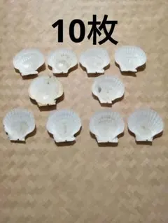 Item thumbnail for item 3f76e7d3-ad3d-465c-b103-4bc5168895ef