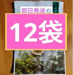 Item thumbnail for item f8366823-7ada-42b5-a3ee-27022d93ce52