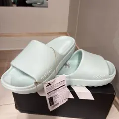 Item thumbnail for item f808fe03-6258-457e-8eaa-665969157077