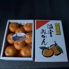 きたーーー‼️とにかく甘さを追求‼️数量限定‼️万田酵素甘平(かんぺい