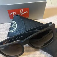 Ray-Ban RB4201 ブラック サングラス