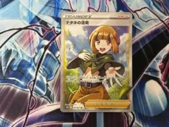 2026年最新】ナタネ srの人気アイテム - メルカリ
