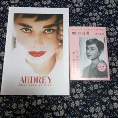 レディ　ヘッドベース　瀬戸ノベルティ　オードリーヘプバーン　ヴィンテージ レディ ヘッドベース 瀬戸ノベルティ オードリーヘプバーン