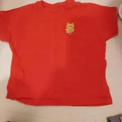 Item thumbnail for item 9c45d586-acf0-489a-8330-b8a8e56c7f3d