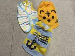 ［Rainbow］犬服3点SET