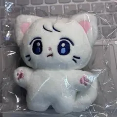 LE SSERAFIM サクラ　マスター　SAKURA 10cm ぬいぐるみ LE SSERAFIM サクラ マスター SAKURA 10cm ぬいぐるみ - メルカリ