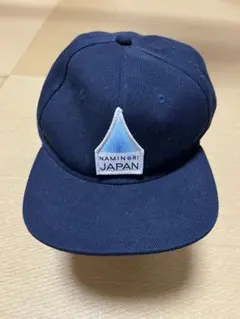 NAMINORI JAPAN 波乗りジャパン クイックシルバー キャップ