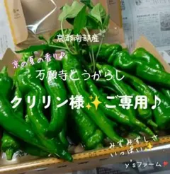 ❇️☘️『クリリン様』ご専用です①♪❇️☘️♪