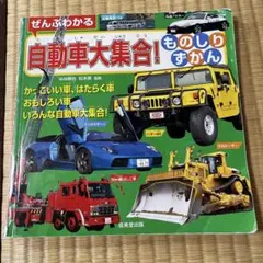 ぜんぶわかる自動車大集合!ものしりずかん/中井 精也, 松本 真のサムネイル