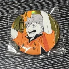 ハイキュー!! 日向翔陽 缶バッジ 雪ヶ丘中学 - メルカリ