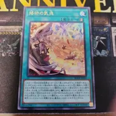 遊戯王【340】烙印の気炎 字レア3枚 BODE【同時購入で120円】 - メルカリ