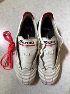 ミズノ モレリアneo4 25.0cm