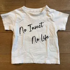 インセクトコレクション　オーガニックコットン Tシャツ Mサイズのサムネイル