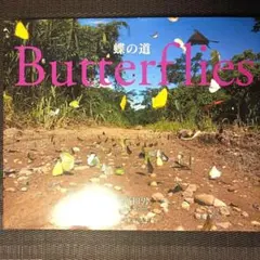 蝶の道 Butterflies