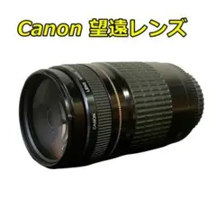 Canon 望遠レンズ 75-300mm キャノン 一眼レフカメラ交換レンズのサムネイル