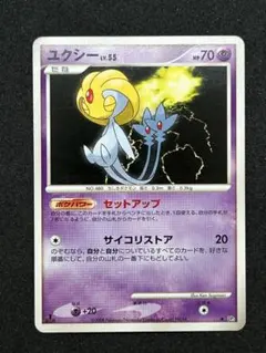 【美品】ユクシー LV.55 セットアップ 秘境の叫び