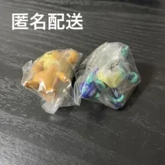 ポケモン スイングコレクション ヒメグマ テラパゴス 2点セット