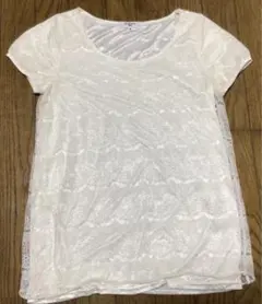Natural Beauty Basic ホワイト レース Tシャツ M