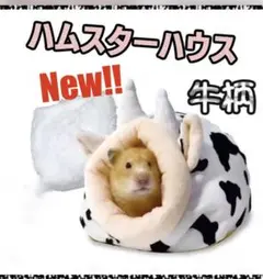 まっき〜様 リクエスト 2点 まとめ商品