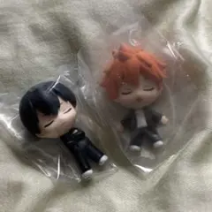 ハイキュー!! ねむらせ隊 日向翔陽 影山飛雄