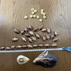 Item thumbnail for item 3e64a4f9-9924-4f7a-aea5-0bafab79b42b