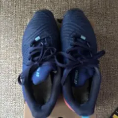 YONEX パワークッション ソニケージ3 ワイド 25.0cm インソール新品