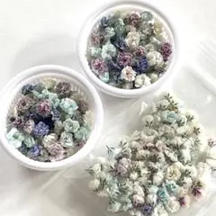 【55】かすみ草ドライフラワー 蕾と咲き始めとB品C品のmix