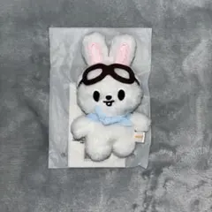 Stray Kids スキズ SKZOO Leebit リービット 10cmぬい