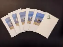 Item thumbnail for item 49364640-0e73-4672-9020-eb337526082d