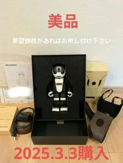 ロボホン スマートフォン本体