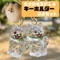 Item thumbnail for item 2e9158f2-f550-40f0-a42a-930ece188096