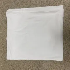 Item thumbnail for item 75959b67-020c-42ae-b84b-1157352526dc