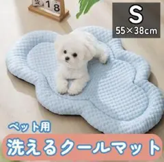 Item thumbnail for item 83aec86f-019b-4255-978c-9a3e9a4d23ba