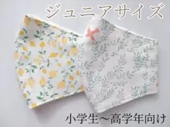 kaz様 リクエスト 2点 まとめ商品