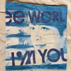 Item thumbnail for item 93ef3132-a99d-4e9d-8135-5386d64cf67f