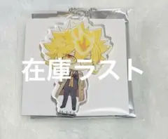 REBORN! シーズナルプランツ メガネ スーツ プリーモ