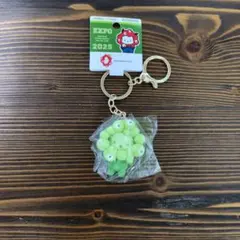 EXPO 2025 大阪・関西万博 　ミャクミャク キーホルダー★ポチャッコ