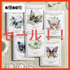 Item thumbnail for item 3fe1c325-8ef0-4e82-aad4-5a0e14d2e3ce