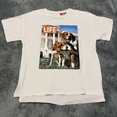 ZARA ビーグル Tシャツ 164 160 フォトプリント ザラ キッズのサムネイル